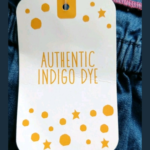 Gymboree Baby Girl Top Embroider Fruit Pineapple - Picture 6 of 6